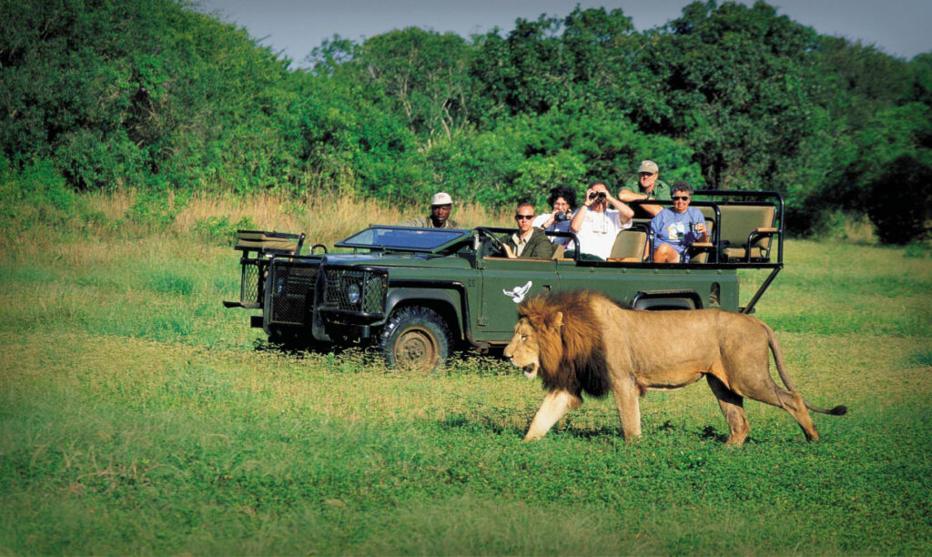 Safari Tours in Sri Lanka