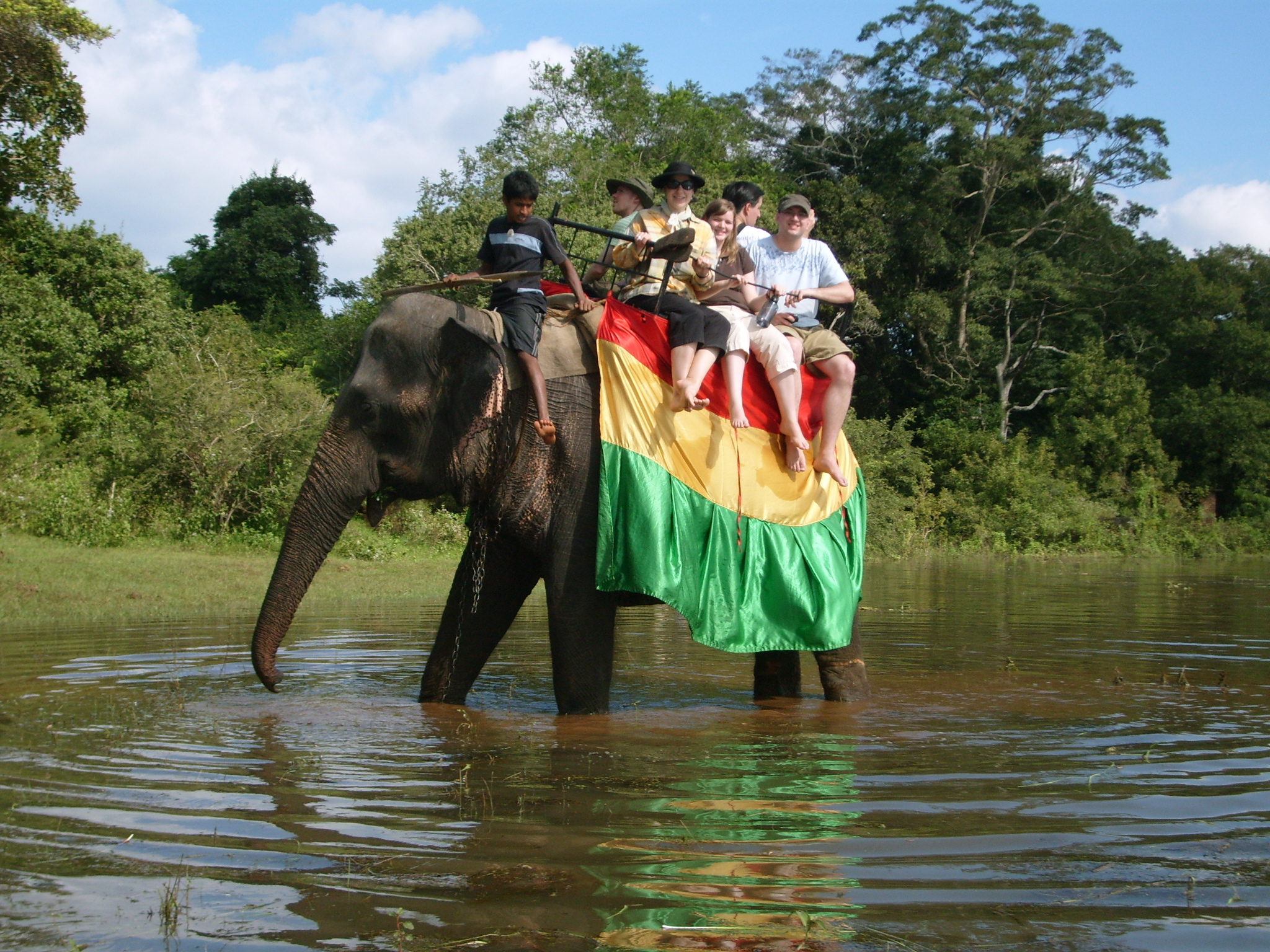 sri lanka beach elephant