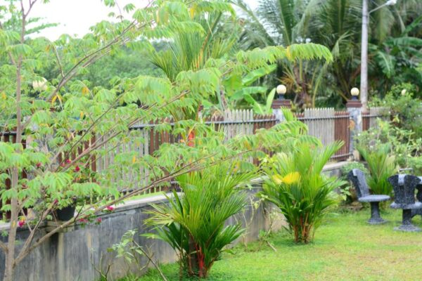 Thisaruvilla galle garden Uplist lk